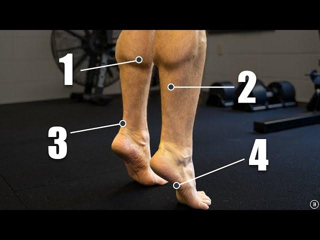 Chronic Ankle Instability | Recurrent Lateral Sprains (Strength | Plyometrics | Balance Exercises)