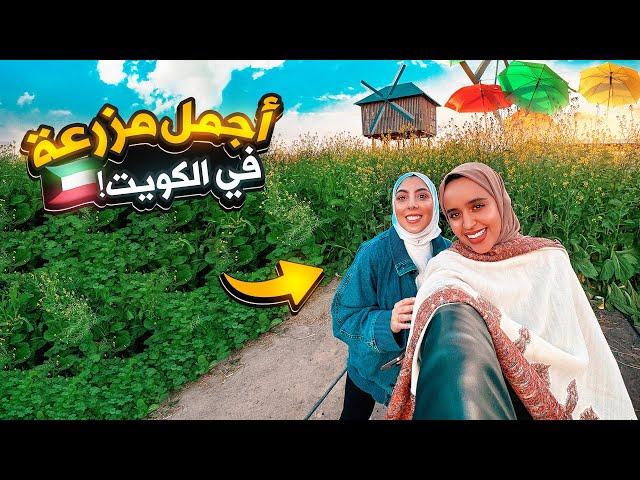 هل تصدق أن هذا في الكويت؟ مزرعة البحيرة صدمتنيalbohayra farm in Kuwait