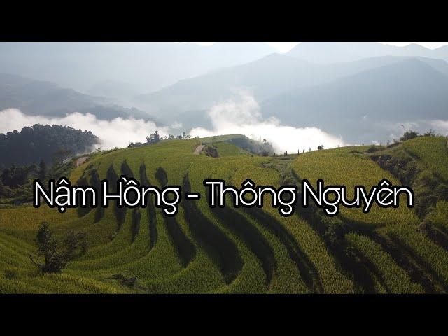 Cảnh đẹp ruộng bậc thang Nậm Hồng Thông Nguyên