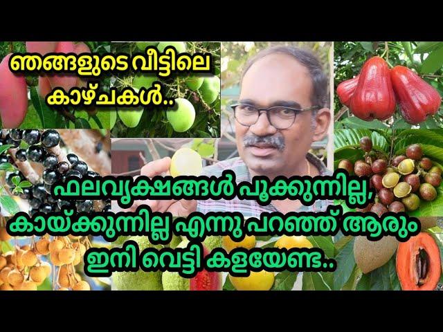 പൂക്കാത്തതും, കായ്ക്കാത്തതുമായ ഫലവൃക്ഷങ്ങൾ ആരും വെട്ടി കളയണ്ട.. പരിഹാരമുണ്ട്.