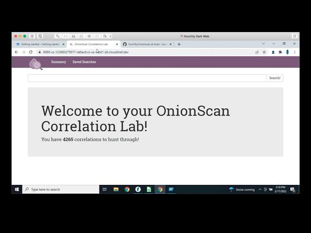 Preserve, Scan and Analyze Tor Hidden Services