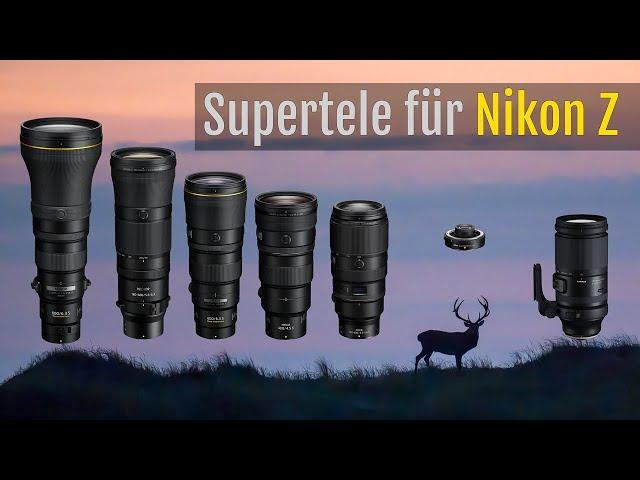 Vergleich – Bezahlbare Superteleobjektive für das Nikon Z-System – Kaufentscheidung [Deutsch]