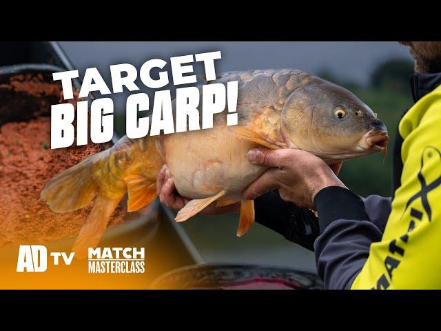 Paste Fishing for Big Carp – Match Masterclass