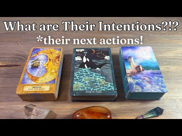 ️ Their Intentions and Next Actions Towards You! PICK A CARD Love Tarot Reading *Timeless