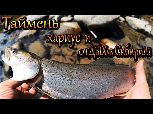 Рыбалка!!! Таймень, хариус и отдых в Сибири!!! 1 День