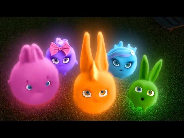 Sunny Bunnies | Shiny Bright Bunny | COMPILATION | Videos For Kids