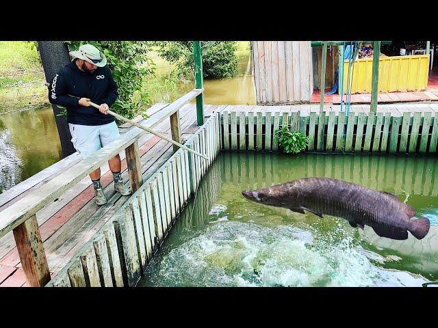 Catching MONSTER AMAZON FISH in FLOATING AQUARIUM POND!!