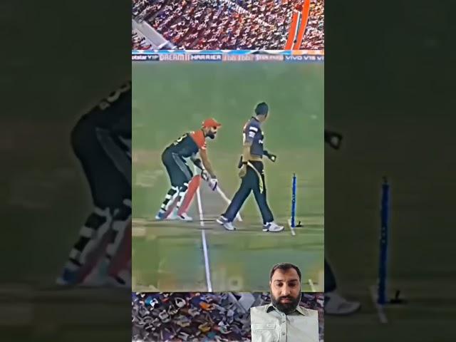 The Humorous Side of Cricket: Funny Moments & Fails!"