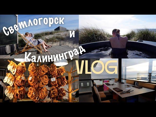 Калининград и Светлогорск | Nordic Spa и куда сходить | ВЛОГ