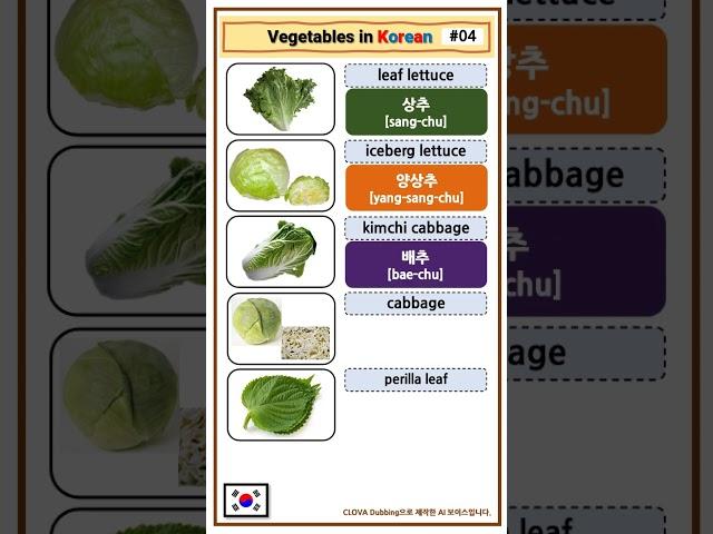 [04] Vegetables in Korean | Korean Vocabulary #shorts  #koreanvocabulary #koreanwords #learnkorean