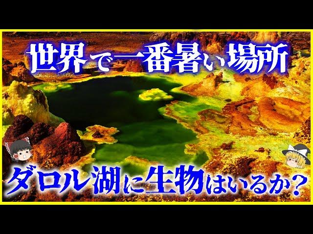 【ゆっくり解説】絶対に触れるな…地球で一番暑い場所「ダロル湖」に生物はいるか？を解説