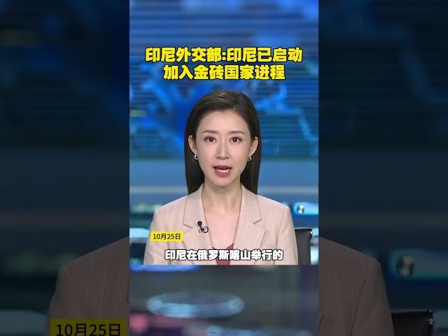 印尼外交部:印尼已啟動加入金磚國家進程 #印尼 #金磚國家 #金磚