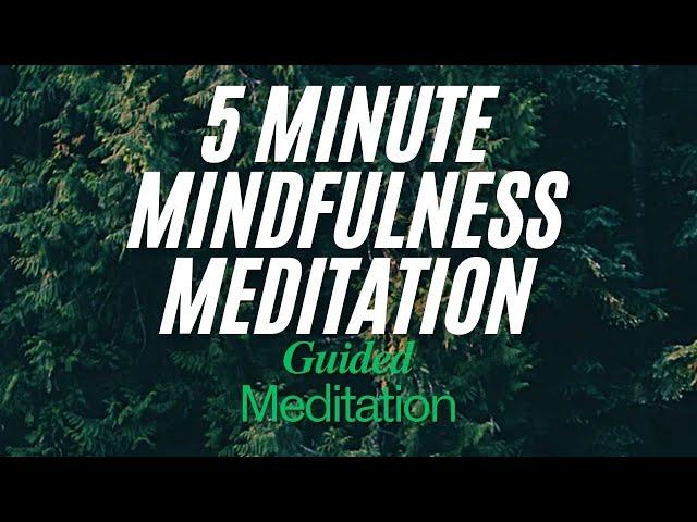 Boost Your Focus in 5 Minutes | Guided Meditation for Fast Stress Relief