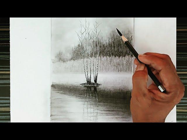 How to draw birch trees nature landscape by pencil easy ways.