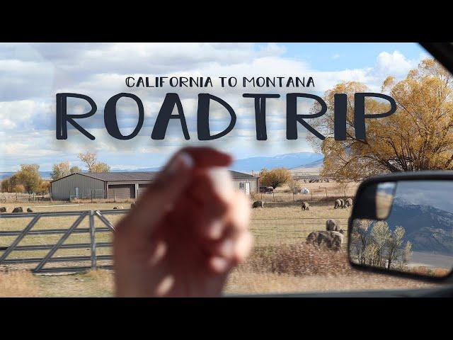 Let's go to Montana || Roadtrip Vlogs