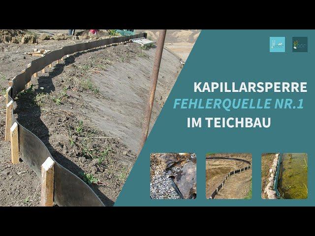 Der FEHLER im Teichbau - Die Kapillarsperre (Teichrand)