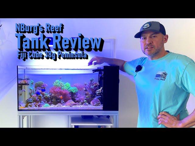 Fiji Cube 38 Gallon Peninsula Aquarium Review