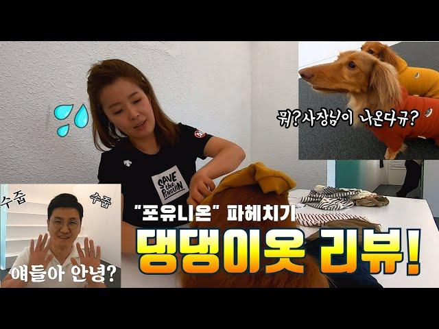 [Terry's Choice] 이번엔 옷이다! 포유니온 댕댕이옷 전격해부! /강아지옷/내돈내산리뷰/닥스훈트옷/댕댕이옷/패션리뷰/기능성티셔츠/닥스훈트올인원