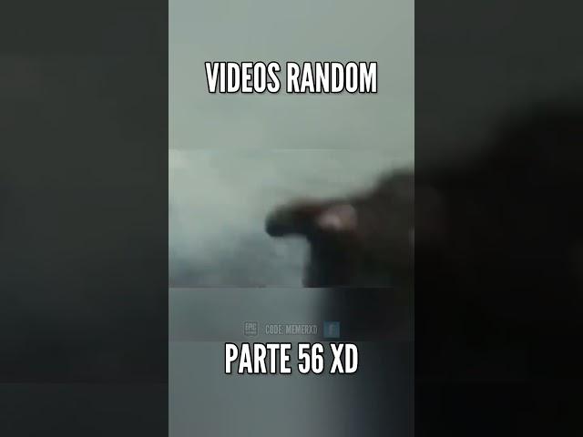 VIDEOS RANDOM PARTE 56 XD