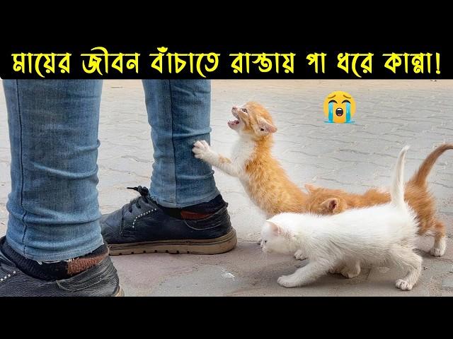 ওদের বন্ধুত্ব দেখলে চোখের পানি ধরে রাখতে পারবেন না |  Is they are Robot ?