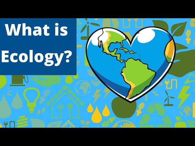 Ecology-Definition-Examples-Explanation