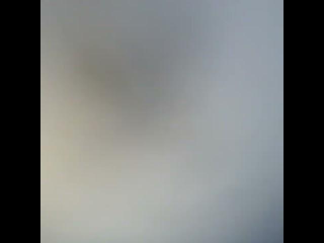 #wasp pooping on camera lens