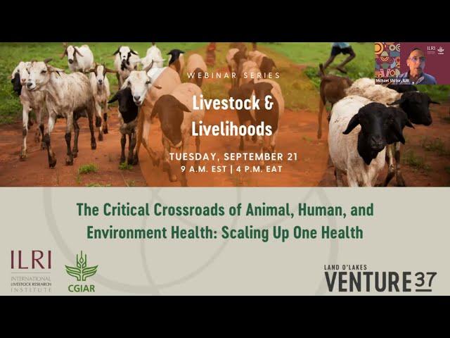 Livestock and livelihoods webinar series: Crossroads of animal, human and environment health