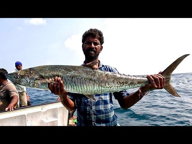 Catching King Mackerel in the Deep Sea #fishing #fishingvideo