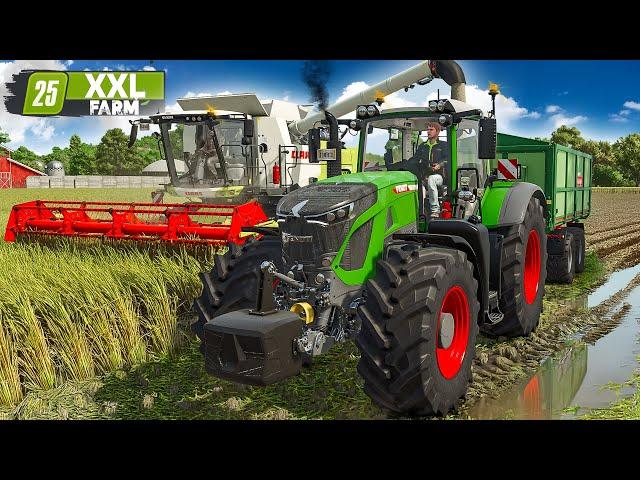 Die erste große ERNTE! | XXL Farm #9 | FARMING SIMULATOR 25