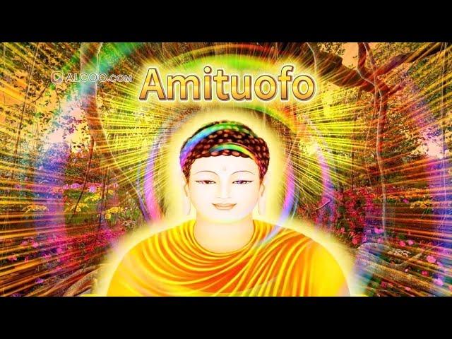 Amituofo (Nianfo) | 阿弥陀佛| Peaceful Nianfo｜四字佛号｜Niệm Phật | Nembutsu