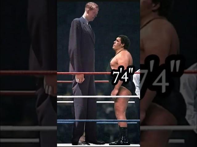 ANDRE THE GIANT AND ROBERT WADLOW FACE TO FACE #shorts