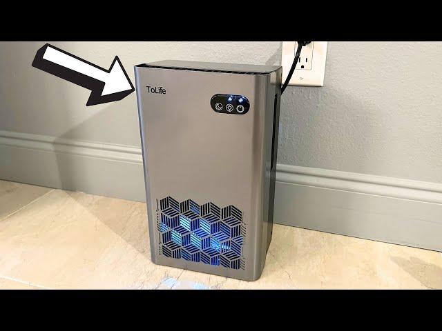 ToLife Dehumidifier Review: Quiet, 95 OZ Tank & Auto Shut Off!