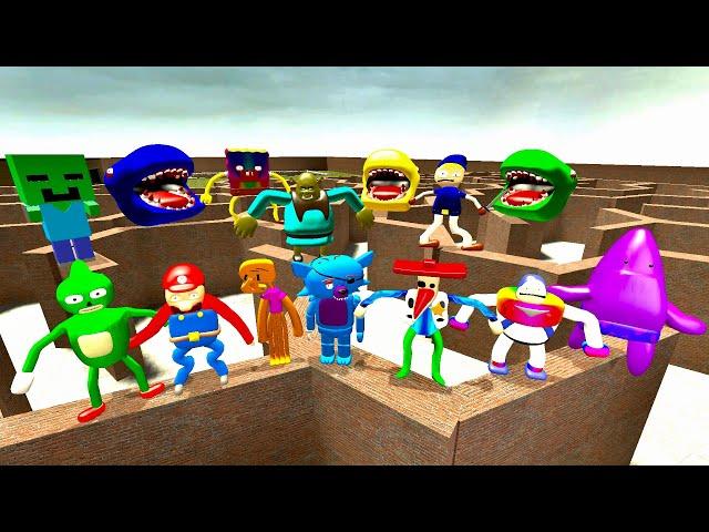 COLORED ALL 3D SANIC CLONES MEMES ( 3D MEMES ) IN LABYRINTH in Garry's mod !