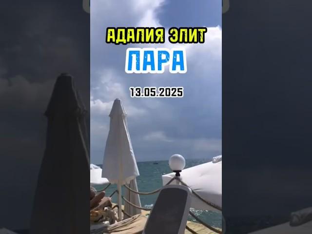 Adalya Elite. Пирс. #adalya