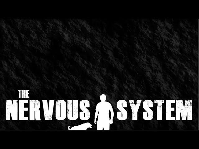 FLEX Time  - The Nervous System