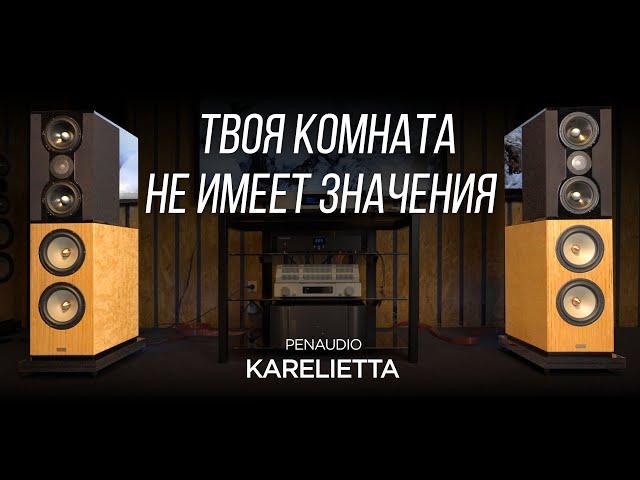 Обзор акустики из Финляндии Penaudio Karelietta