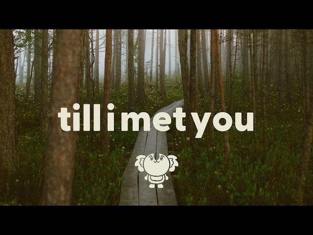 Said The Sky & good problem - Till I Met You (lyrics)