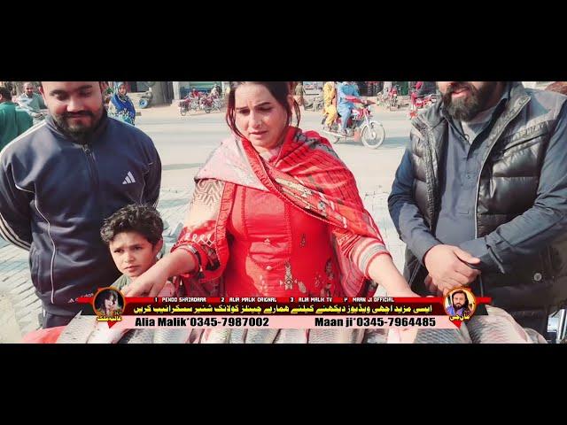 NEW VIDEO  ALIYA MALIK AND MAAN JEE TEAM 2024