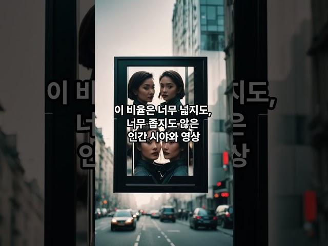 왜 TV는 네모일까? 다 보여줄 순 없다는 뜻인가? 이유 Top 5. #지식 #tv #상식 #가로 #시청 #시야