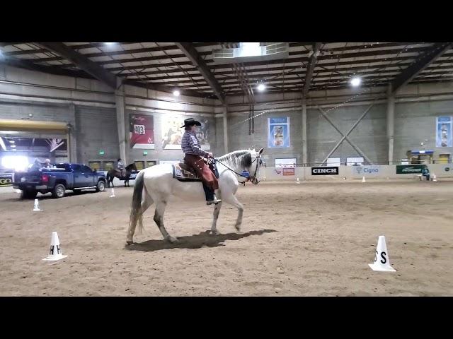 Melanie and Double Shot,  Cowboy Dressage,  February 23, 2023.  Test 1