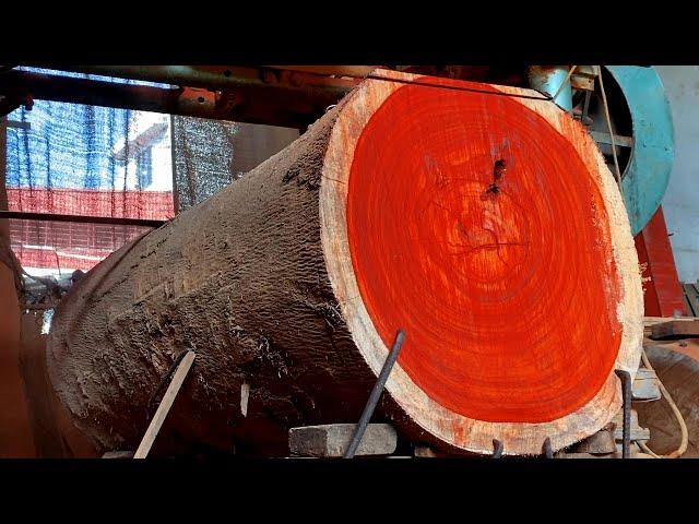 Giant Wood Processing Factory - Rare Wood Processing Process at the Factory by Vietnamese Engineers