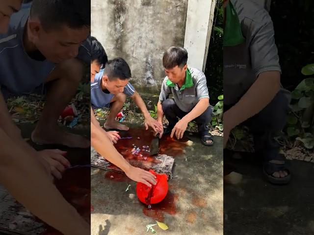 Grandpa “Butchers” Baby’s Piggy Bank – Hilarious Family Prank! #martialarts #couple #funnykids