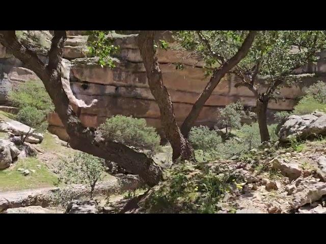 مسیر تنگه شیرِز، کوهدشت، استان لرستان shirez Canyon, kuhdasht, Lorestan, IRAN