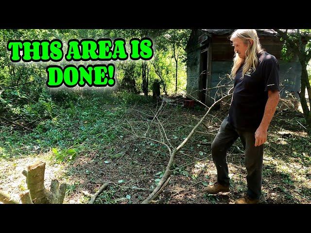 STUDIO AREA GETTING DONE farm, tiny house, homesteading, RV life, RV living|