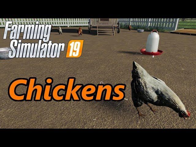 Farming Simulator 19 Tutorial | Chickens