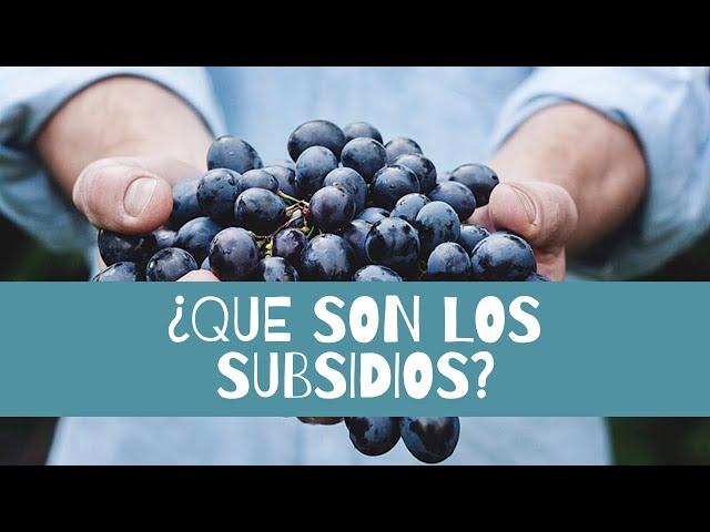 ¿QUÉ son los SUBSIDIOS? ▶Tutorial 