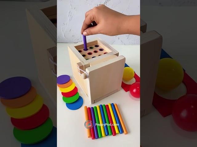 Montessori Exploration Box: 4-in-1 Activities at PeppyPod.com