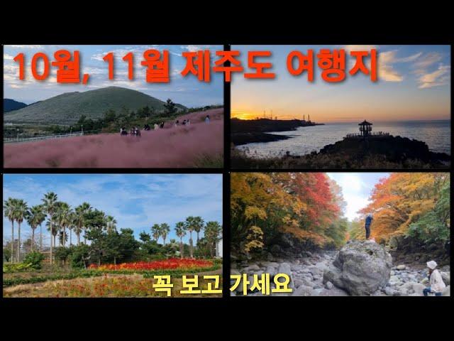 제주도 가을(10월, 11월)에 가면 좋은 여행지  추천해요