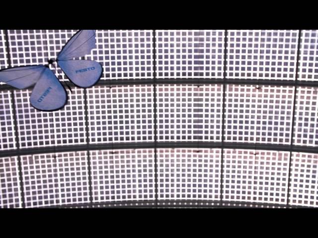 Festo – eMotionButterflies (English)