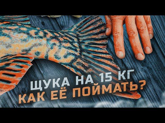 ЩУКИ-МОНСТРЫ ЗА 15 КГ, как таких поймать? ПАНОПТИКС - нужен ли он в лодке? Main Target Team. 4K